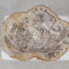 Bowl petrified wood 57018