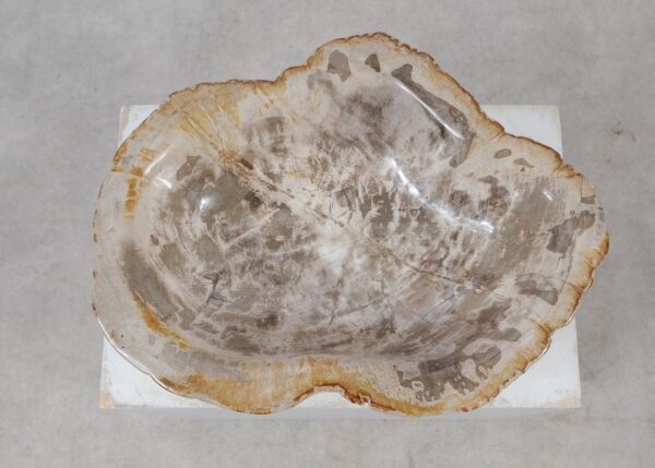 Bowl petrified wood 57018