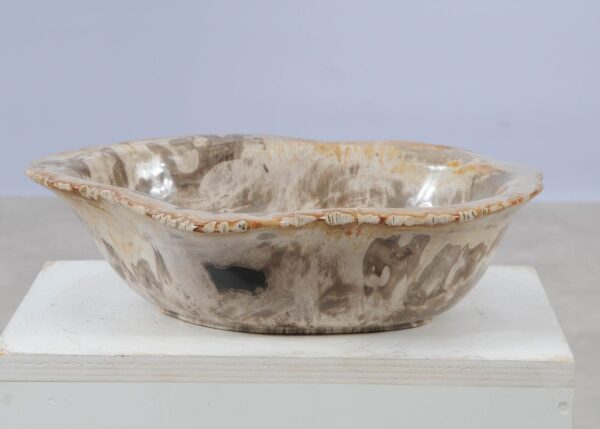 Bowl petrified wood 57018