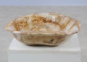 Bowl petrified wood 57021