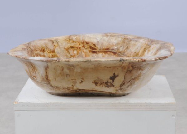 Bowl petrified wood 57021