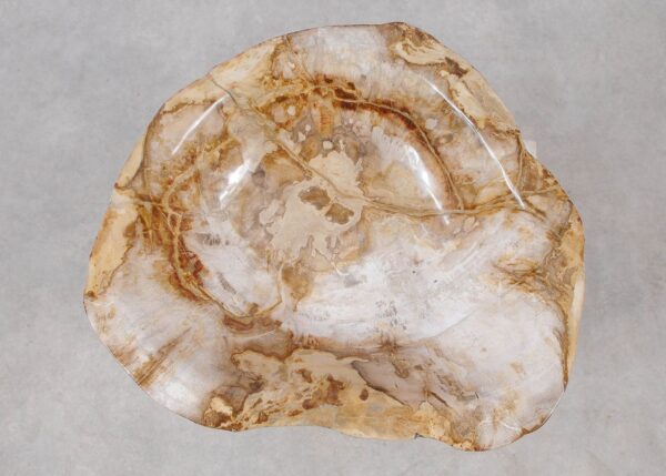 Bowl petrified wood 57021