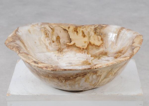 Bowl petrified wood 57021