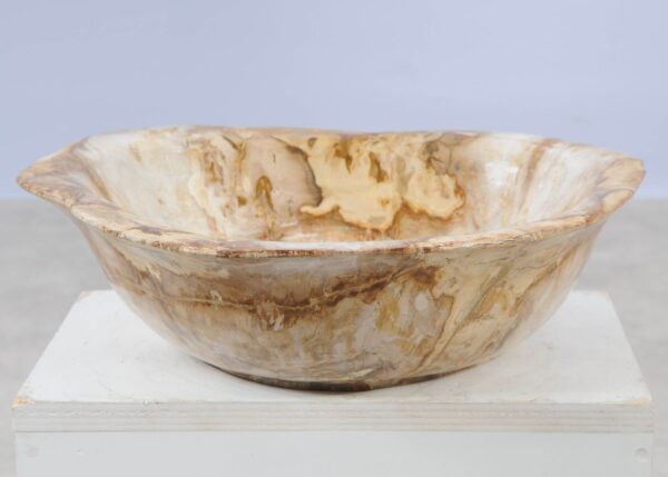 Bowl petrified wood 57021