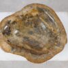 Bowl petrified wood 57022