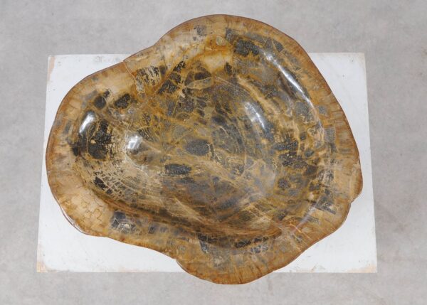 Bowl petrified wood 57022