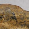 Bowl petrified wood 57022