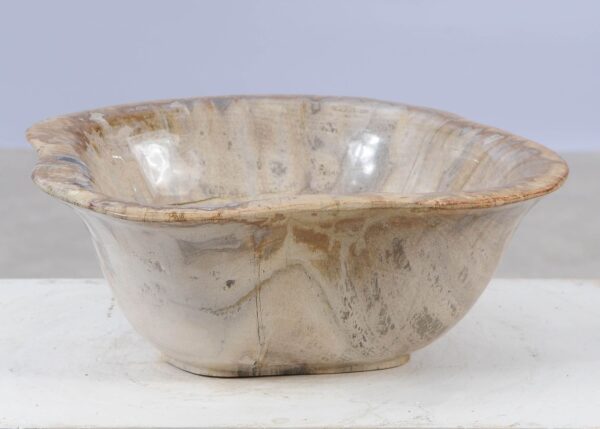 Bowl petrified wood 57023