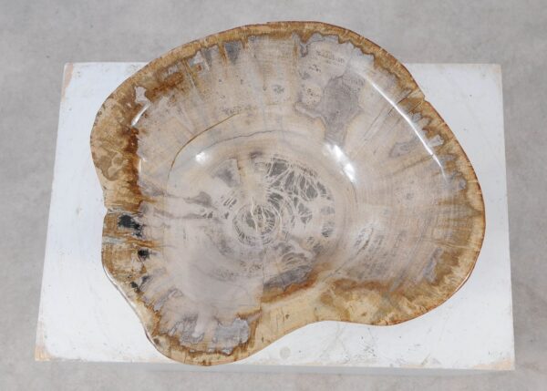 Bowl petrified wood 57023