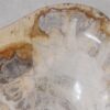 Bowl petrified wood 57023