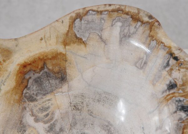 Bowl petrified wood 57023