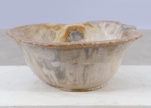 Bowl petrified wood 57023