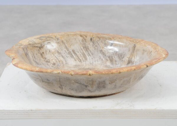 Bowl petrified wood 57024