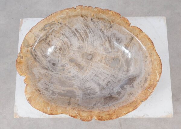 Bowl petrified wood 57024