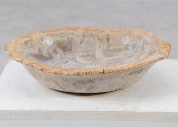 Bowl petrified wood 57024