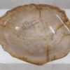 Bowl petrified wood 57025