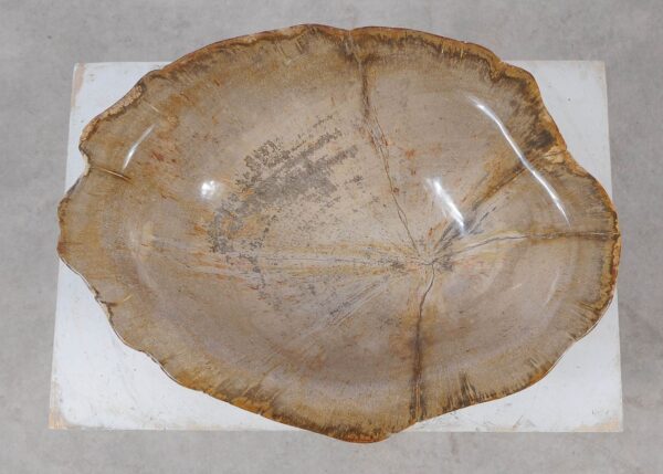 Bowl petrified wood 57025