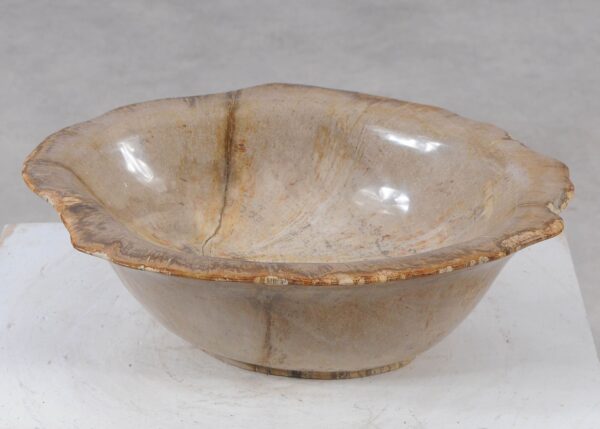 Bowl petrified wood 57025