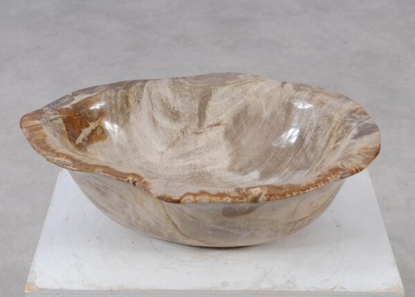 Bowl petrified wood 57026