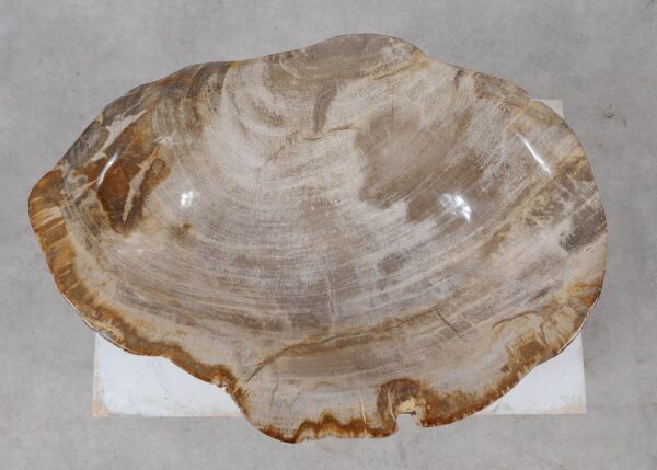 Bowl petrified wood 57026