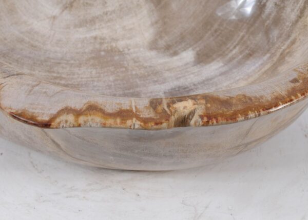 Bowl petrified wood 57026