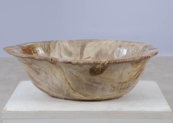 Bowl petrified wood 57026