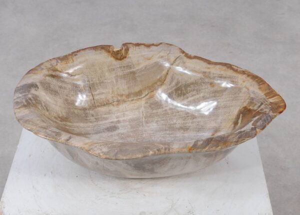 Bowl petrified wood 57026