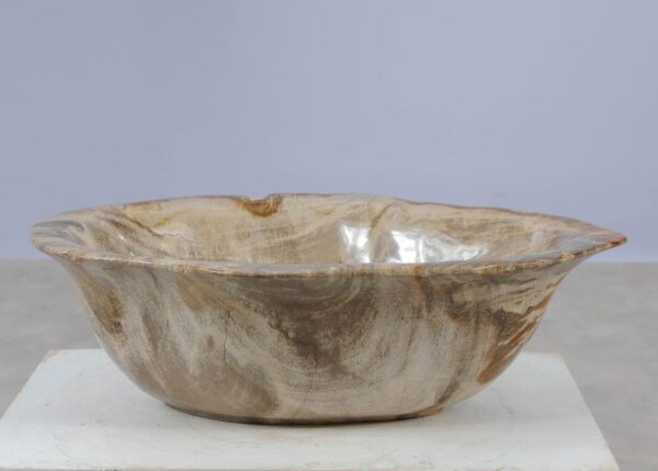 Bowl petrified wood 57026