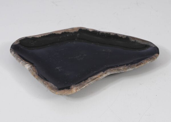 Plate petrified wood 57315