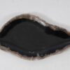 Plate petrified wood 57317