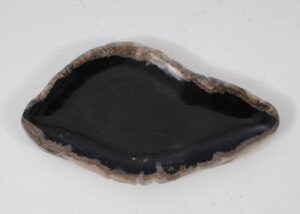 Plate petrified wood 57317