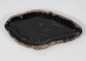 Plate petrified wood 57318