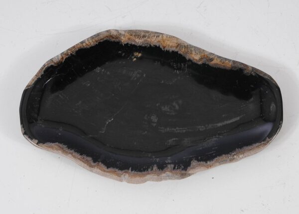 Plate petrified wood 57320