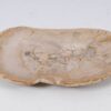 Plate petrified wood 57323