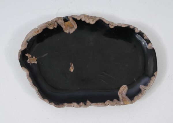 Plate petrified wood 57324