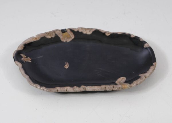 Plate petrified wood 57324