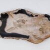 Plate petrified wood 57325