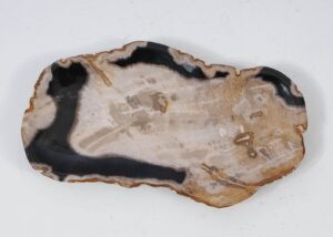 Plate petrified wood 57325