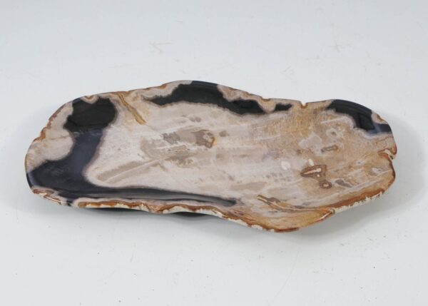 Plate petrified wood 57325