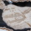 Plate petrified wood 57326