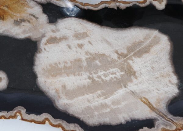 Plate petrified wood 57326