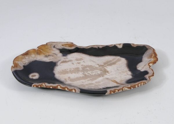 Plate petrified wood 57326