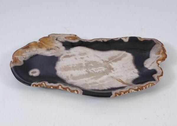 Plate petrified wood 57326