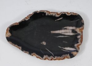 Plate petrified wood 57327