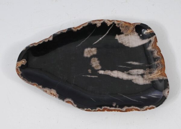 Plate petrified wood 57330