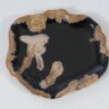 Plate petrified wood 57331