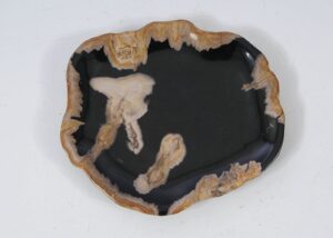 Plate petrified wood 57331