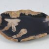 Plate petrified wood 57331