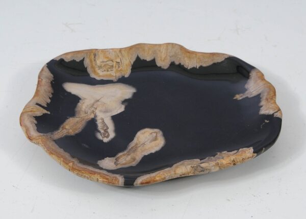 Plate petrified wood 57331