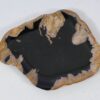 Plate petrified wood 57332